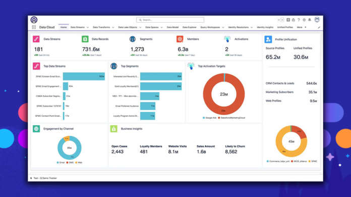 Salesforce Data Cloud