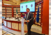 Report Assintel-Confcommercio settore ICT 02